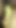 Jaw-dropping moment from "Dominican woman masturbating with a banana"