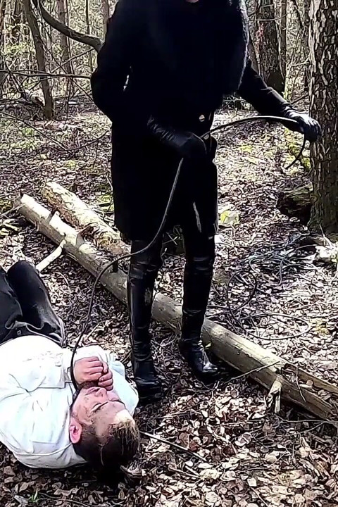 Алиса