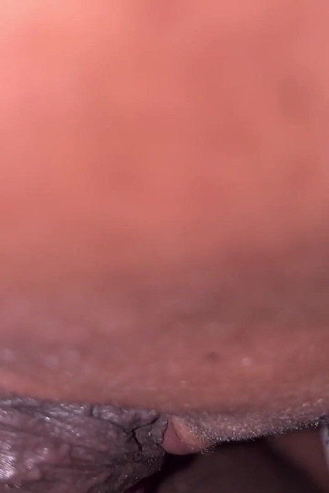 Step Freced