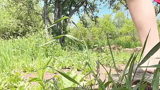 Bakım çöpü ağacı için amcık sidik kir