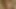 Golden shower geek with glasses gets pissed on, degradation and her tits slapped