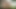 Horny Colombian Latino Twinks Fuck Outdoors