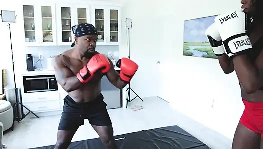 Paris love gegen doc, schokoladen-boxspiel