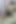 Threesome Young Wife Licking Husband Penis by Mouth and Come in Mouth.threesome with Two Penis One Pussy and Big Boobs Bhabhi.