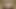 RealityLovers - Czech BBW Teen