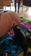 Pregled videozapisa