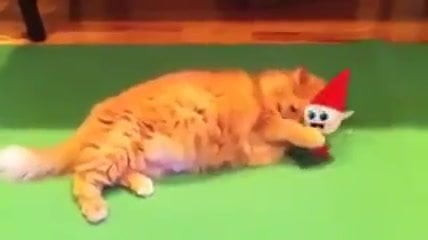 12 Days of Elves