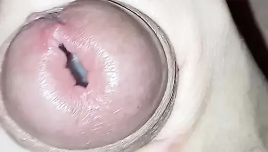 Sperm yükü