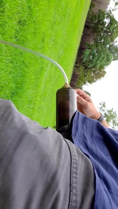 Cock pumping in a park