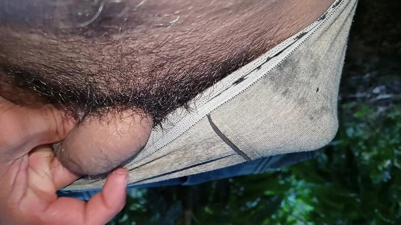 I always had the fantasy of giving a cripple a high cock