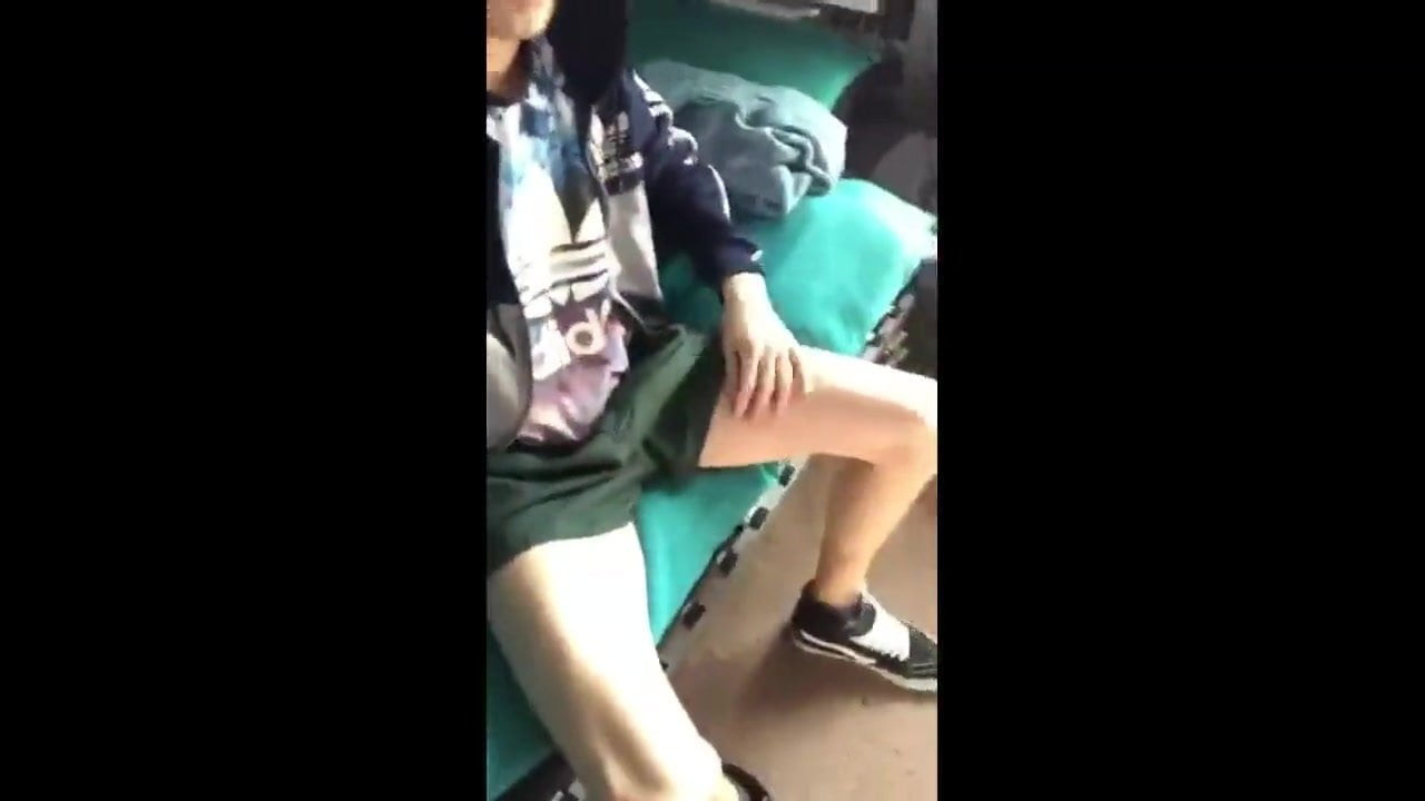 家の展示男