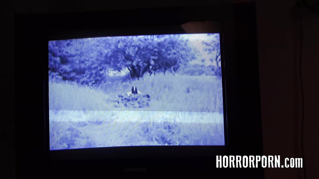 Pigen fra brønden (Horror Porn)
