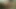 kötü şişman anal latina alma KEDİ ve göt emdi tarafından gf-3