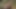 Hunt4k。エッチな女の子がアナルセックスして喜んで