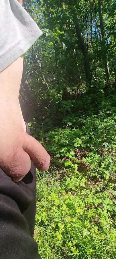 Flashing dick in wood