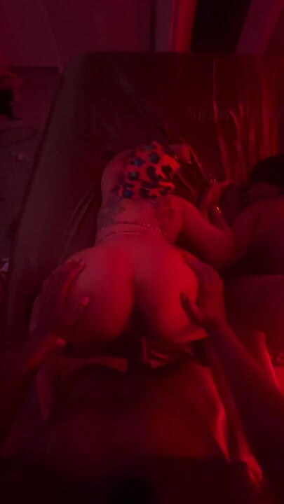 Pussy to pussy