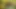 Cum on Belly and Pussy in Tent in Naturist Campsite in Croatia