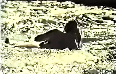 Girls At The Gynecologist