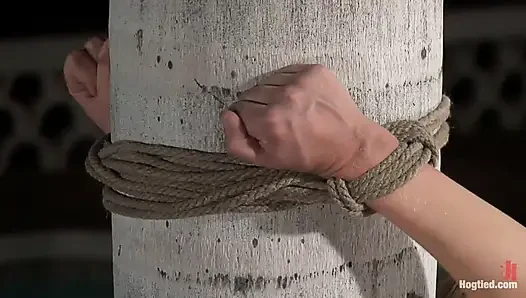 Кабо День мертвых, часть 4 фантазия.