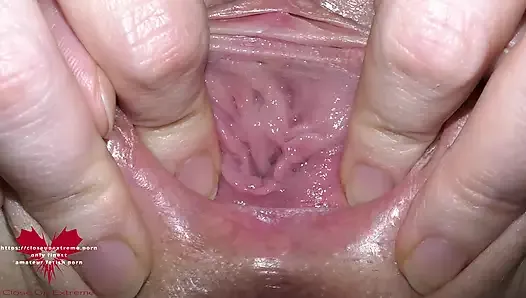 阴户与大阴唇的外解剖特写。
