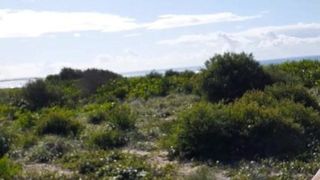 In der Sonne mit meinem geilen Schwanz am Strand spielen