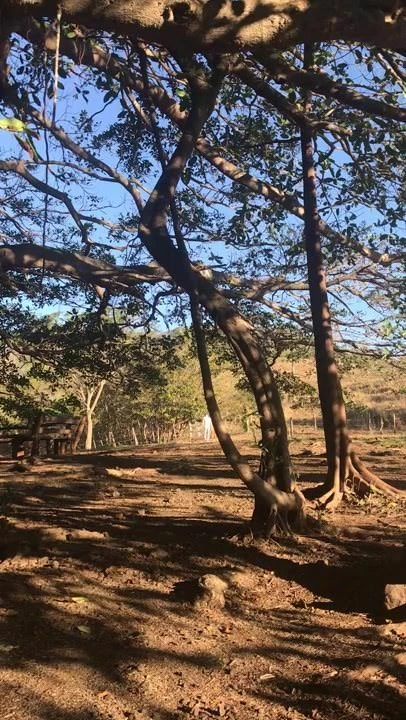 Naked public walk in Costa rica