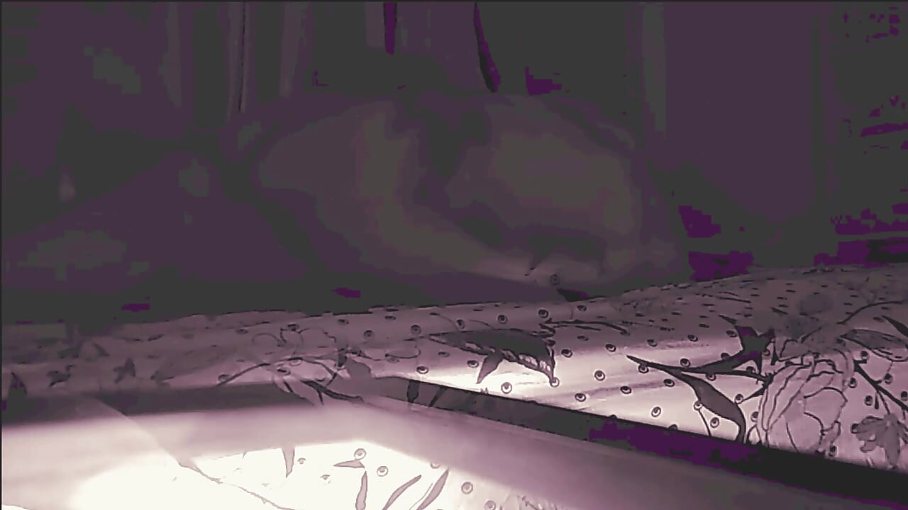 Anal Stepdaughter Tight Asshole Used Without Permission Painal Part 4