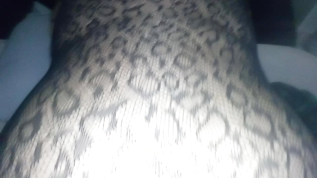 PAWG in fishnet takes backshots