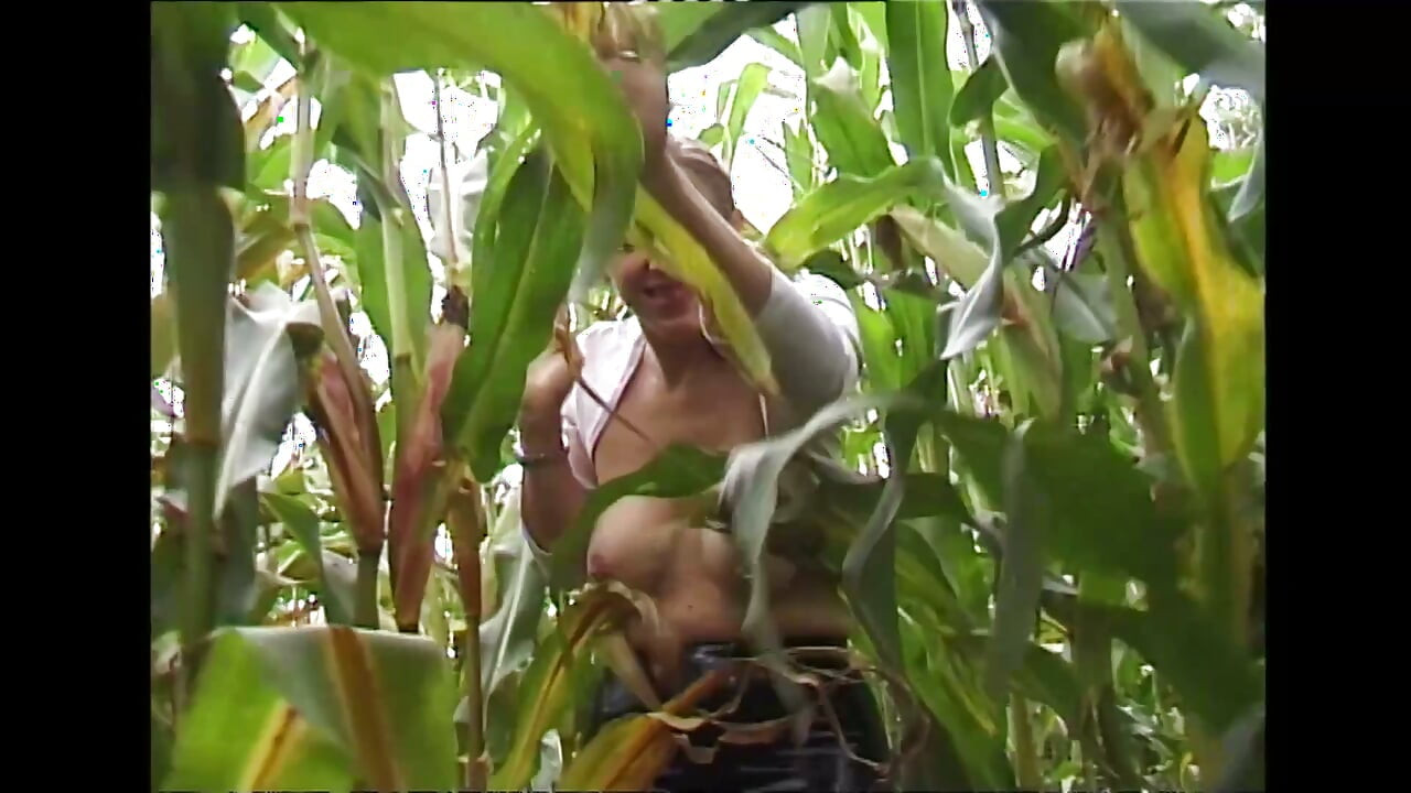 Seks di Ladang Jagung dengan Orang Asing Bermasker