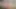 The Easter Egg Hunt POV
