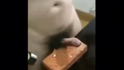 güçlü penis
