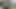 Köle altın duş alıyor ve sidikimi yutuyor