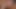 三人のサトリー・ロシアンズがワイルドになる