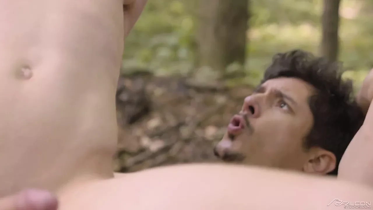 Rocky Vallarta & Edward Terrant - Into The Woods Sc2