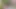 Dalal 2021 – telegram kanalı redflixlerine katılın