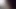 Ambrosia rose bg teaser