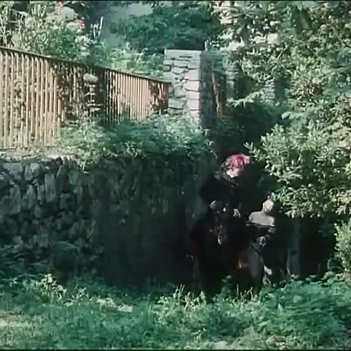 Black and white medieval party in the forest