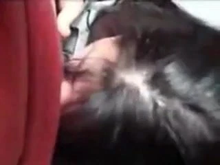 Bbw gola profonda e sperma in bocca - kcxxx