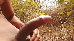 Indian man harmit fucking her huge cock in the jungle