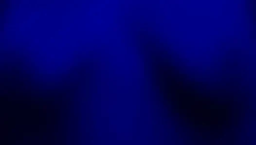 Die möpse sind für das schwein