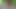 I found my neighbor alone in the forest and started fucking
