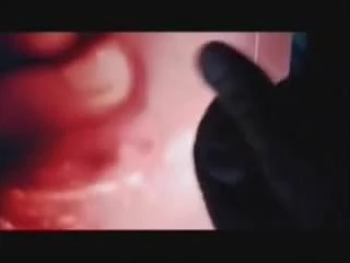 Tribute Jamilla 2