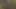 Little Fuck in the Woods... Girlfriend Has to Watch!