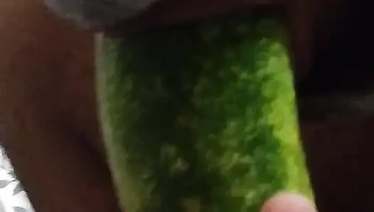 Грудастая сучка играет с собой и трахает себя огурцом