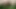 Wank and cum in the woods.