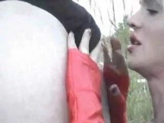Roadside tranny
