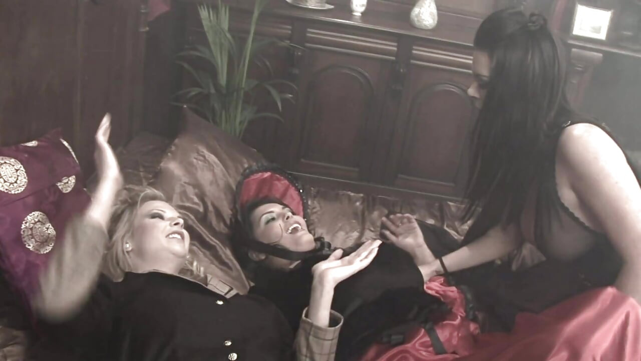 Lesbian floozies in sexy lingerie fuck hard with toys