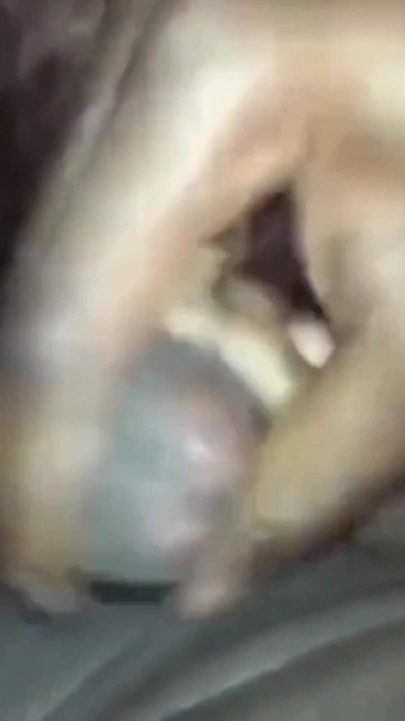 Rimming Licking His Balls Sucking His BBC