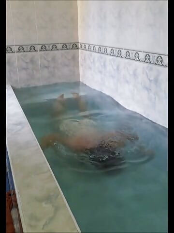 Indy fucked by a fucking in assy Slurbatie 2020