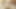 Desi Hardcore BDSM With Stepsister In Mumbai And She Is Moaning In Marathi  For More - Desi Indian Marathi Teen Girl Wants Sex